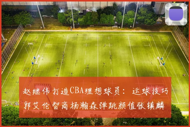 赵继伟打造CBA理想球员：运球技巧郭艾伦智商杨瀚森弹跳颜值张镇麟完美结合