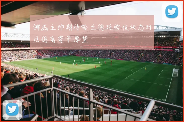 挪威主帅期待哈兰德延续佳状态对厄德高寄予厚望