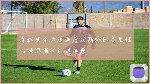 森林狼全力追逐詹姆斯球队高层信心满满期待引进老詹